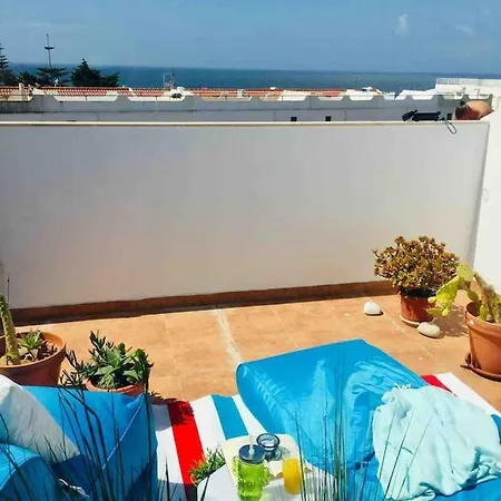 Bigboss Sharko - 400m From The Appartement *